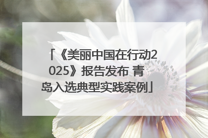 《美丽中国在行动2025》报告发布 青岛入选典型实践案例