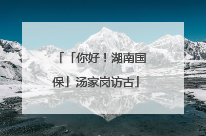 「你好！湖南国保」汤家岗访古