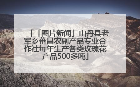「图片新闻」山丹县老军乡蕃昌农副产品专业合作社每年生产各类玫瑰花产品500多吨