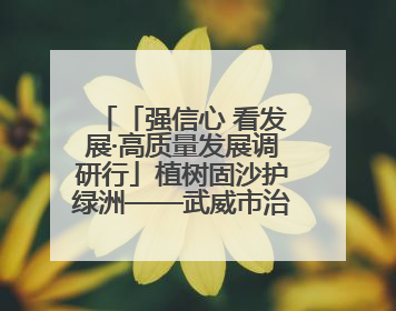 「强信心 看发展·高质量发展调研行」植树固沙护绿洲——武威市治沙造林筑牢生态安全屏障见闻