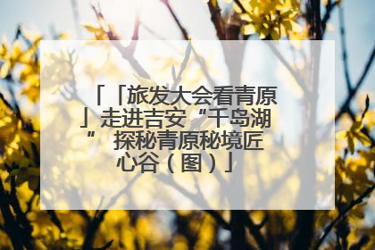 「旅发大会看青原」走进吉安“千岛湖” 探秘青原秘境匠心谷（图）