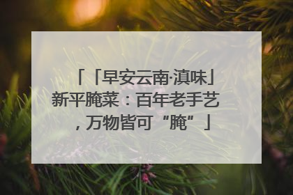 「早安云南·滇味」新平腌菜：百年老手艺，万物皆可“腌”