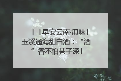 「早安云南·滇味」玉溪通海甜白酒：“酒”香不怕巷子深