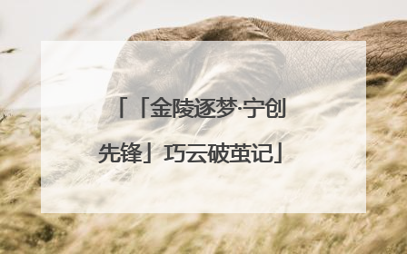 「金陵逐梦·宁创先锋」巧云破茧记
