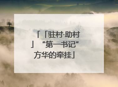 「驻村·助村」“第一书记”方华的牵挂