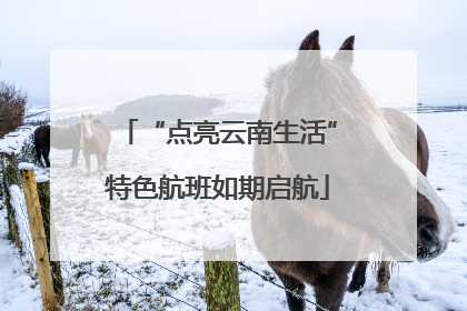“点亮云南生活”特色航班如期启航