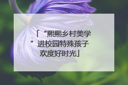 “熙熙乡村美学”进校园特殊孩子欢度好时光