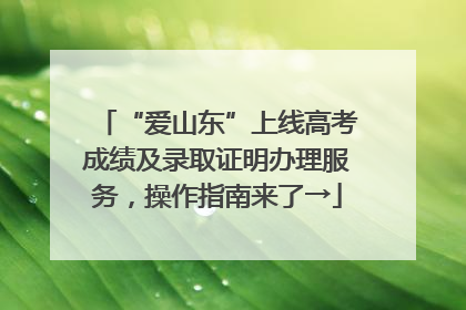 “爱山东”上线高考成绩及录取证明办理服务，操作指南来了→