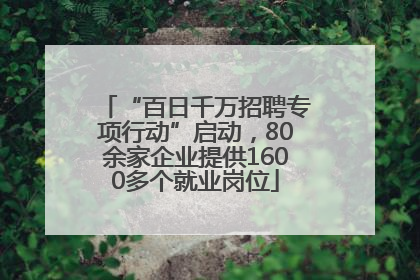 “百日千万招聘专项行动”启动，80余家企业提供1600多个就业岗位