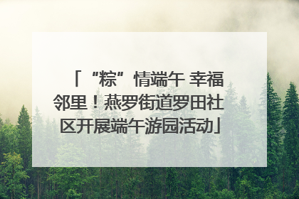 “粽”情端午 幸福邻里！燕罗街道罗田社区开展端午游园活动