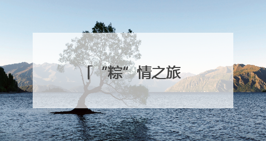 “粽”情之旅 童趣满溢