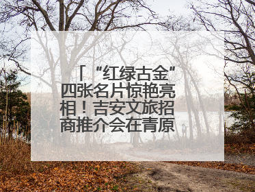 “红绿古金”四张名片惊艳亮相！吉安文旅招商推介会在青原区举行(图)