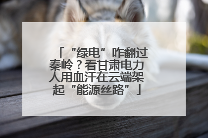 “绿电”咋翻过秦岭？看甘肃电力人用血汗在云端架起“能源丝路”