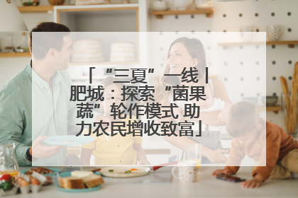 “三夏”一线丨肥城：探索“菌果蔬”轮作模式 助力农民增收致富
