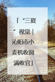 “三夏”视觉｜沁阳市小麦机收圆满收官