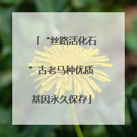 “丝路活化石”古老马种优质基因永久保存