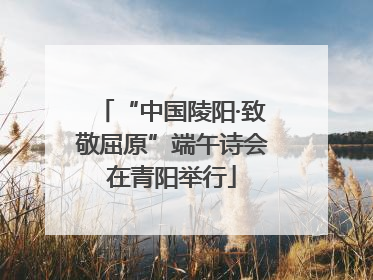 “中国陵阳·致敬屈原”端午诗会在青阳举行