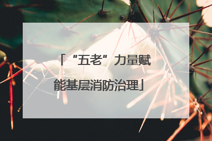 “五老”力量赋能基层消防治理