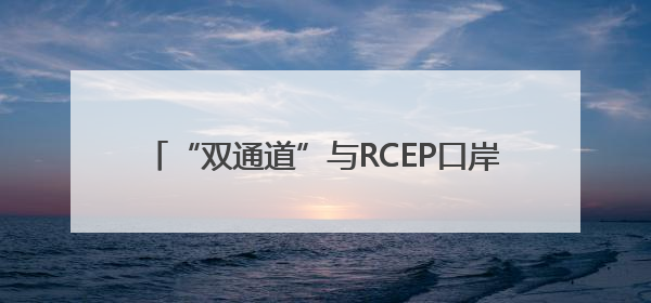 “双通道”与RCEP口岸协同发展推进会在怀化召开