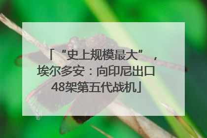 “史上规模最大”，埃尔多安：向印尼出口48架第五代战机
