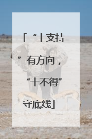 “十支持”有方向，“十不得”守底线