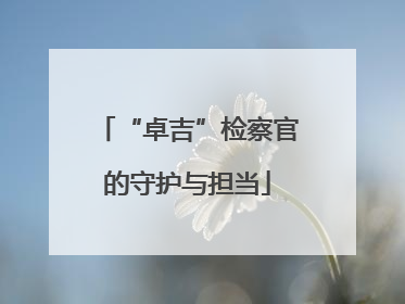 “卓吉”检察官的守护与担当