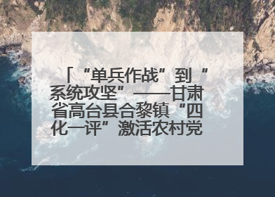 “单兵作战”到“系统攻坚”——甘肃省高台县合黎镇“四化一评”激活农村党员管理新引擎