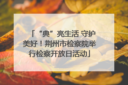 “典”亮生活 守护美好！荆州市检察院举行检察开放日活动
