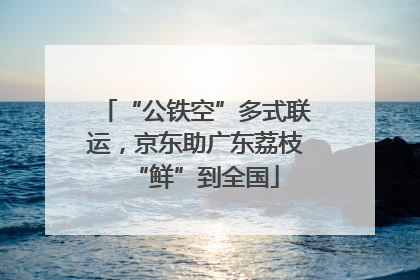 “公铁空”多式联运，京东助广东荔枝“鲜”到全国