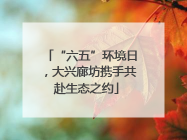 “六五”环境日，大兴廊坊携手共赴生态之约