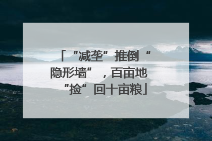 “减垄”推倒“隐形墙”，百亩地“捡”回十亩粮