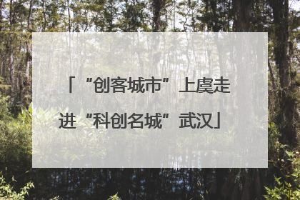 “创客城市”上虞走进“科创名城”武汉