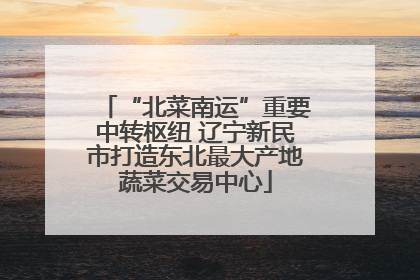 “北菜南运”重要中转枢纽 辽宁新民市打造东北最大产地蔬菜交易中心