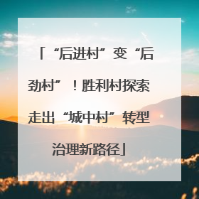 “后进村”变“后劲村”！胜利村探索走出“城中村”转型治理新路径