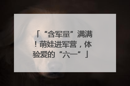 “含军量”满满！萌娃进军营，体验爱的“六一”