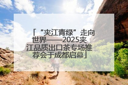 “夹江青绿”走向世界——2025夹江品质出口茶专场推荐会于成都启幕