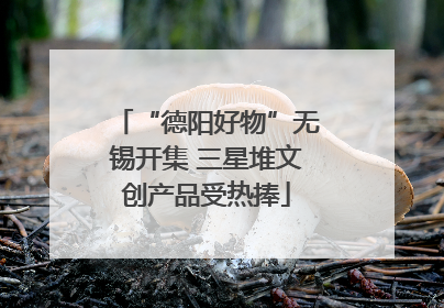 “德阳好物”无锡开集 三星堆文创产品受热捧