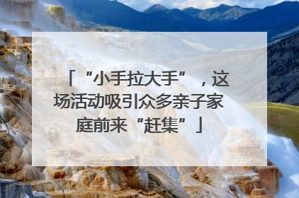 “小手拉大手”，这场活动吸引众多亲子家庭前来“赶集”