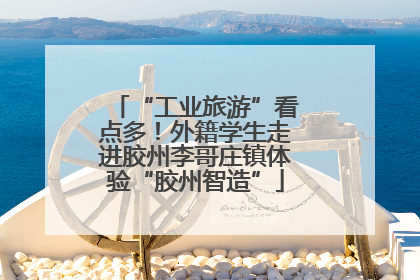 “工业旅游”看点多！外籍学生走进胶州李哥庄镇体验“胶州智造”