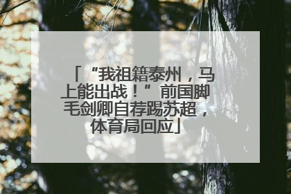 “我祖籍泰州，马上能出战！”前国脚毛剑卿自荐踢苏超，体育局回应