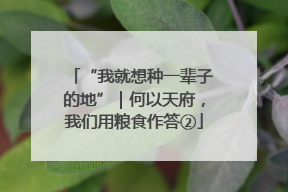 “我就想种一辈子的地”｜何以天府，我们用粮食作答②