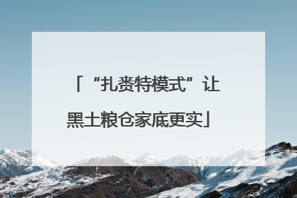 “扎赉特模式”让黑土粮仓家底更实