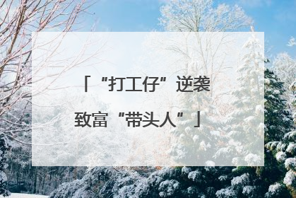 “打工仔”逆袭致富“带头人”