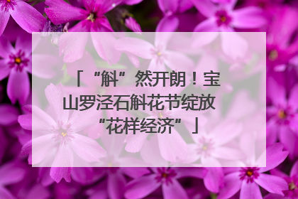 “斛”然开朗！宝山罗泾石斛花节绽放“花样经济”