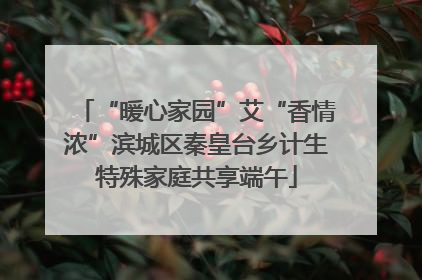 “暖心家园”艾“香情浓”滨城区秦皇台乡计生特殊家庭共享端午