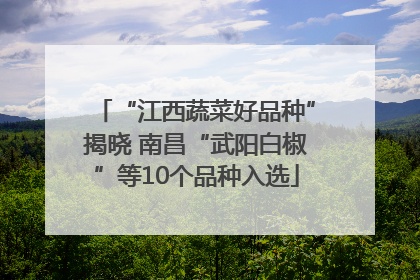 “江西蔬菜好品种”揭晓 南昌“武阳白椒”等10个品种入选