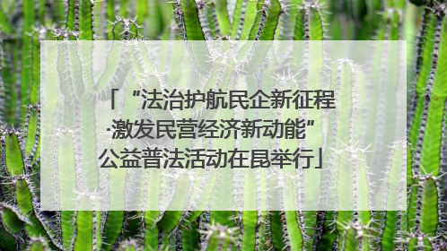 “法治护航民企新征程·激发民营经济新动能”公益普法活动在昆举行