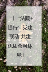 “法院+银行”党建联动 共建优质金融环境