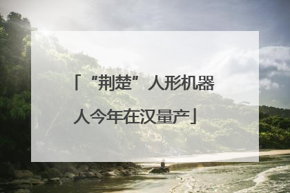 “荆楚”人形机器人今年在汉量产
