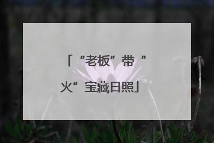 “老板”带“火”宝藏日照